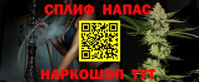 стаф Краснодар
