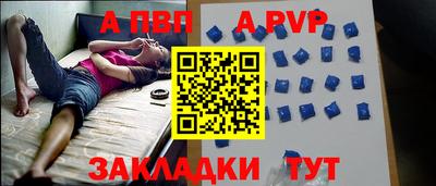 стаф Краснодар