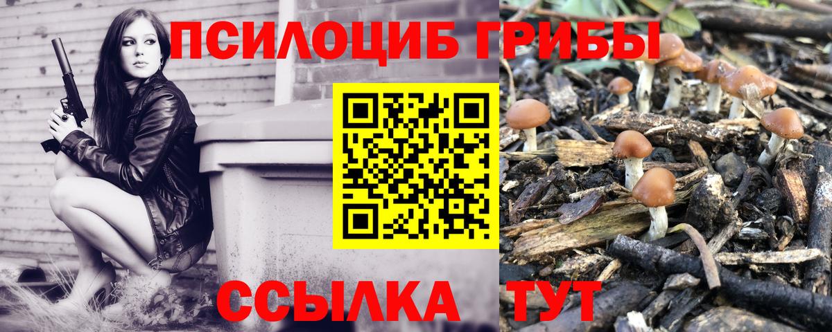 Галлюциногенные грибы прущие грибы Киров