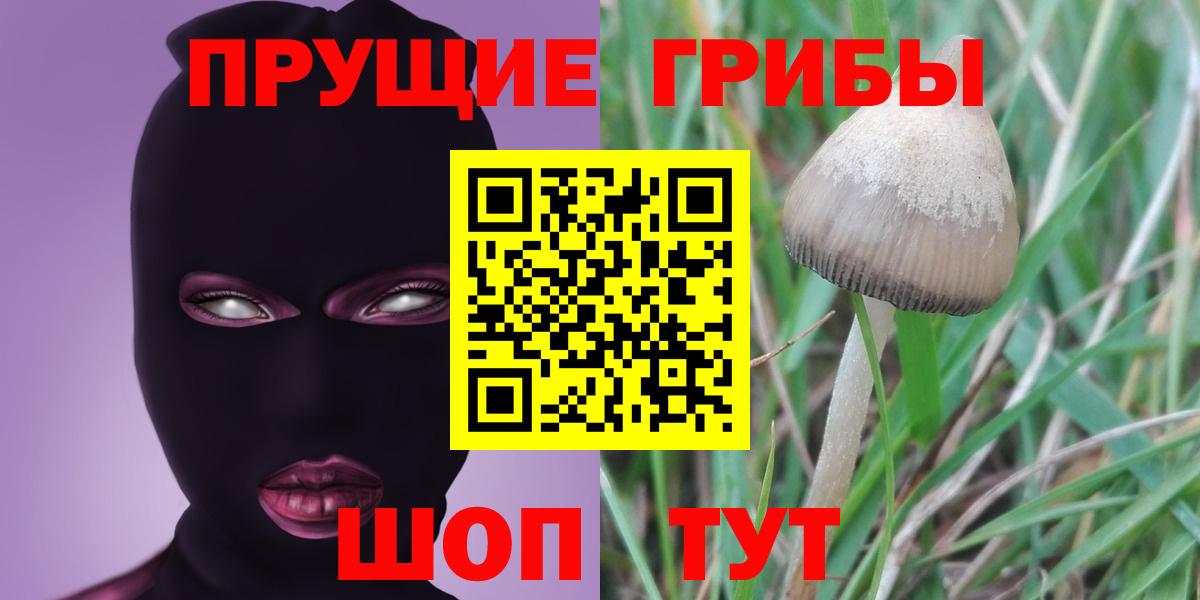 Киров  Псилоцибиновые грибы прущие грибы  Вход с VPN 